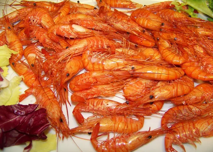 Ξενοδοχείο Varadoiro Πόρτο Νόβο